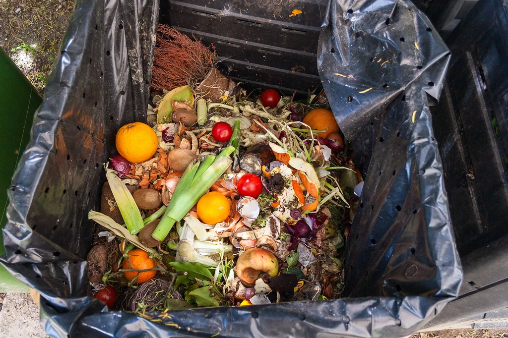 Częstym błędem podczas wyrzucanie odpadów biodegradowalnych jest ich wrzucanie do pojemnika w worku lub papierowej torbie