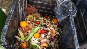Walka z marnowaniem żywności na poziomie śmietnika  
