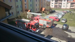 Liczy się każda złotówka