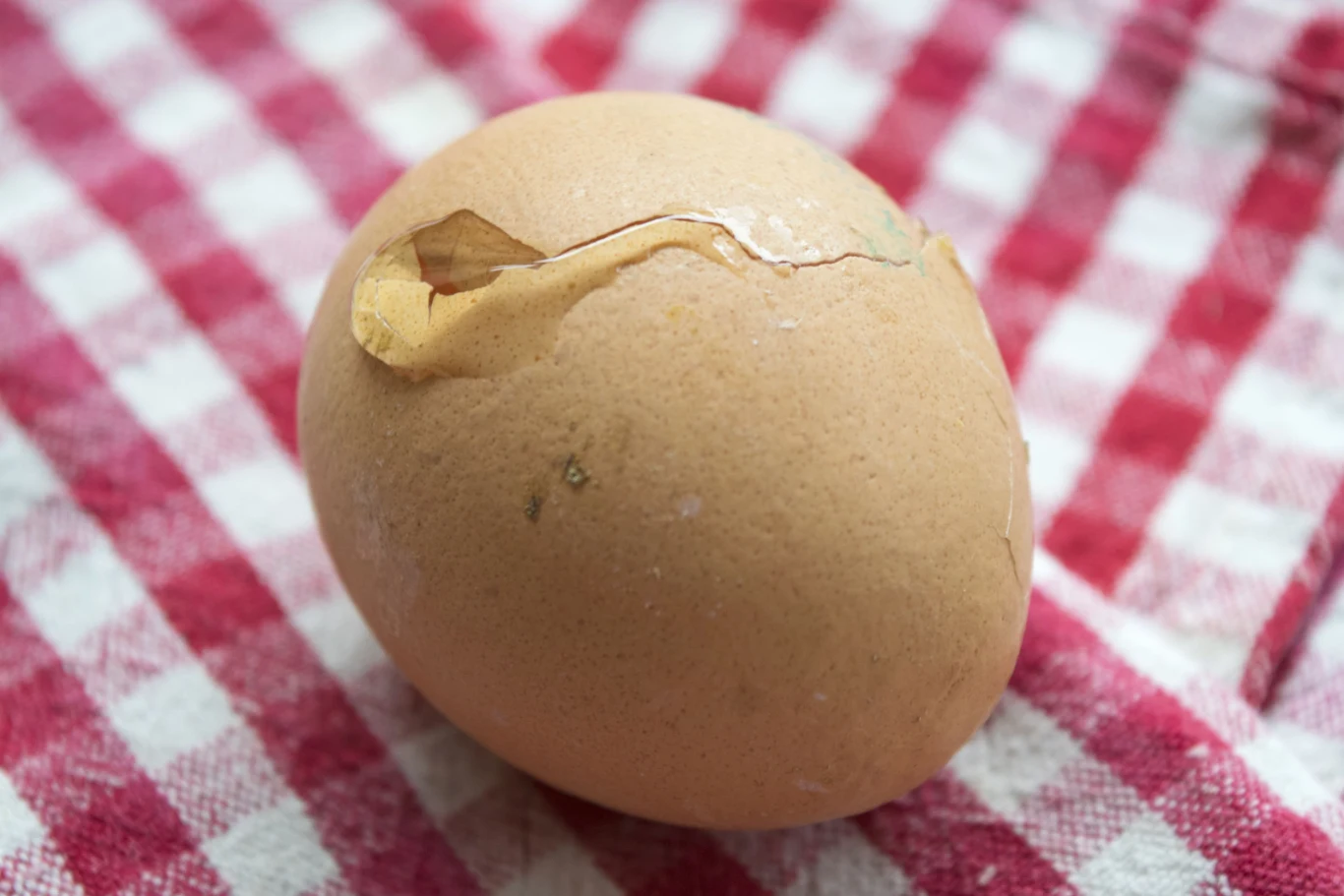 Sprawdź świeżość jajka przez wygląd skorupki – jeśli jest chropowata i zmatowiona, oznacza to, że jajo jest świeże. Stare ma zazwyczaj śliską, błyszczącą skorupkę. 