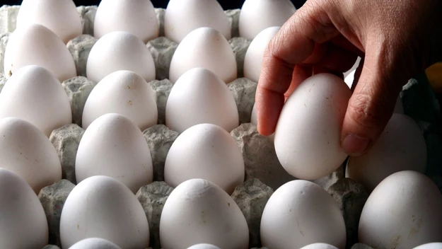 Na początek trzeba pamiętać, by jaja kupować w sprawdzonym miejscu – musimy mieć pewność, że są dobrej jakości. Wybieraj jaja wiejskie, a nie te z fermy. Warto wiedzieć, że w beżowych skorupach dłużej utrzymują świeżość, aniżeli w białych. Kupowanie jajek nawet u sprawdzonych sprzedawców nie gwarantuje, że nie trafimy na zepsuty egzemplarz. Warto więc zawsze przed ugotowaniem czy „wbiciem” do potrawy sprawdzić ich świeżość. 