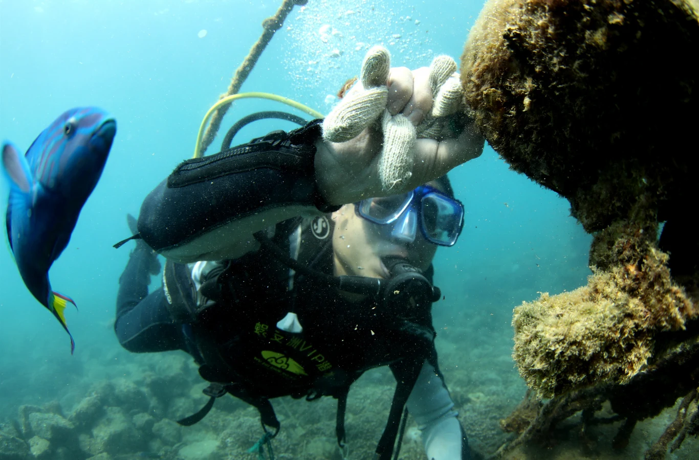 Czy chińskie podwodne ranczo zdoła przetrwać pandemię koronawirusa? W przyrodzie nic nie nie ginie, ale czy to samo można powiedzieć o środowisku, tak bardzo zależnym od działań człowieka?