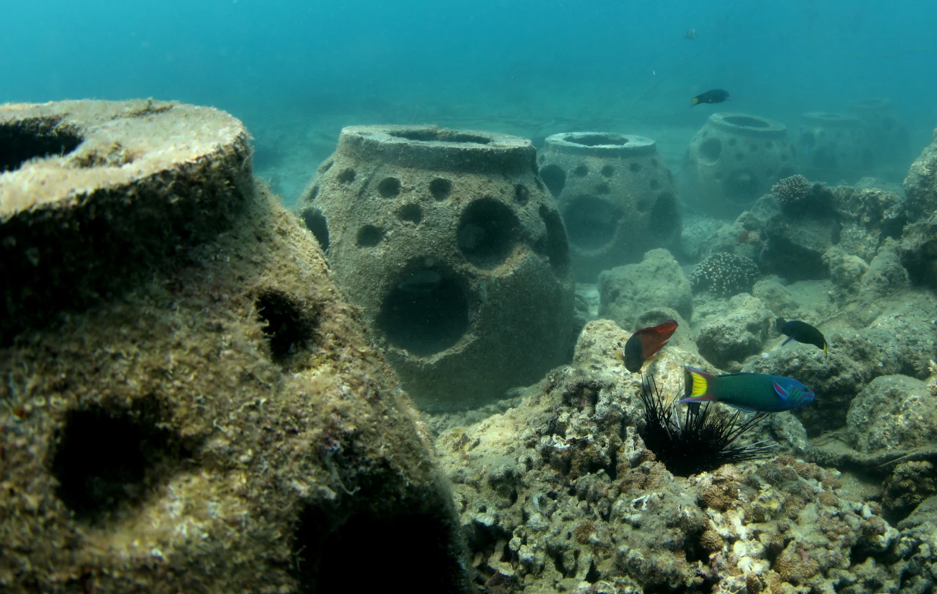 Stawką są warunki bytowe mieszkańców sztucznej rafy oraz pieniądze turystów, którzy - prawdopodobnie - będą chcieli powrócić na wyspę. Nurkowanie wśród barwnych przedstawicieli morskiej fauny nie jest może jedynym, ale z pewnością najważniejszym powodem, dla którego na Wuzhizhou ściągają amatorzy schodzenia pod wodę.