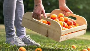 Hiszpania: nielegalni imigranci wesprą rolników