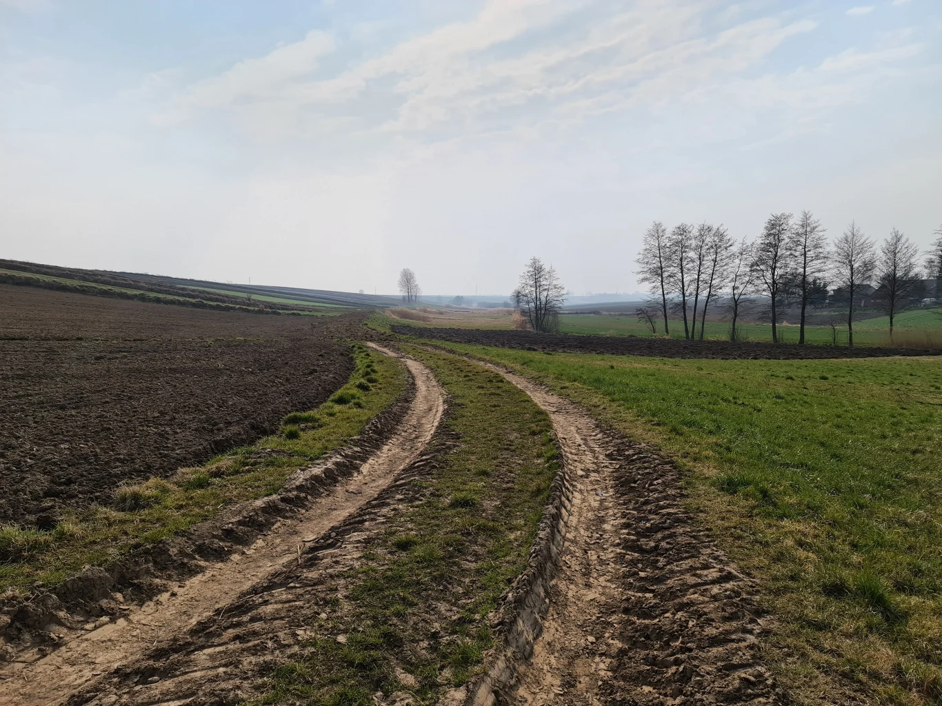 Zdjęcie wykonane Samsungiem Galaxy S20 Ultra Zdjęcie wykonane Samsungiem Galaxy S20 Ultra