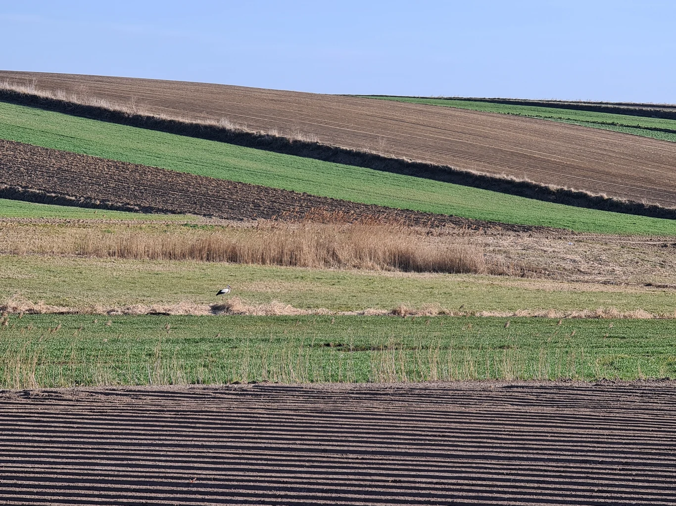 Zdjęcie wykonane Samsungiem Galaxy S20 Ultra Zdjęcie wykonane Samsungiem Galaxy S20 Ultra