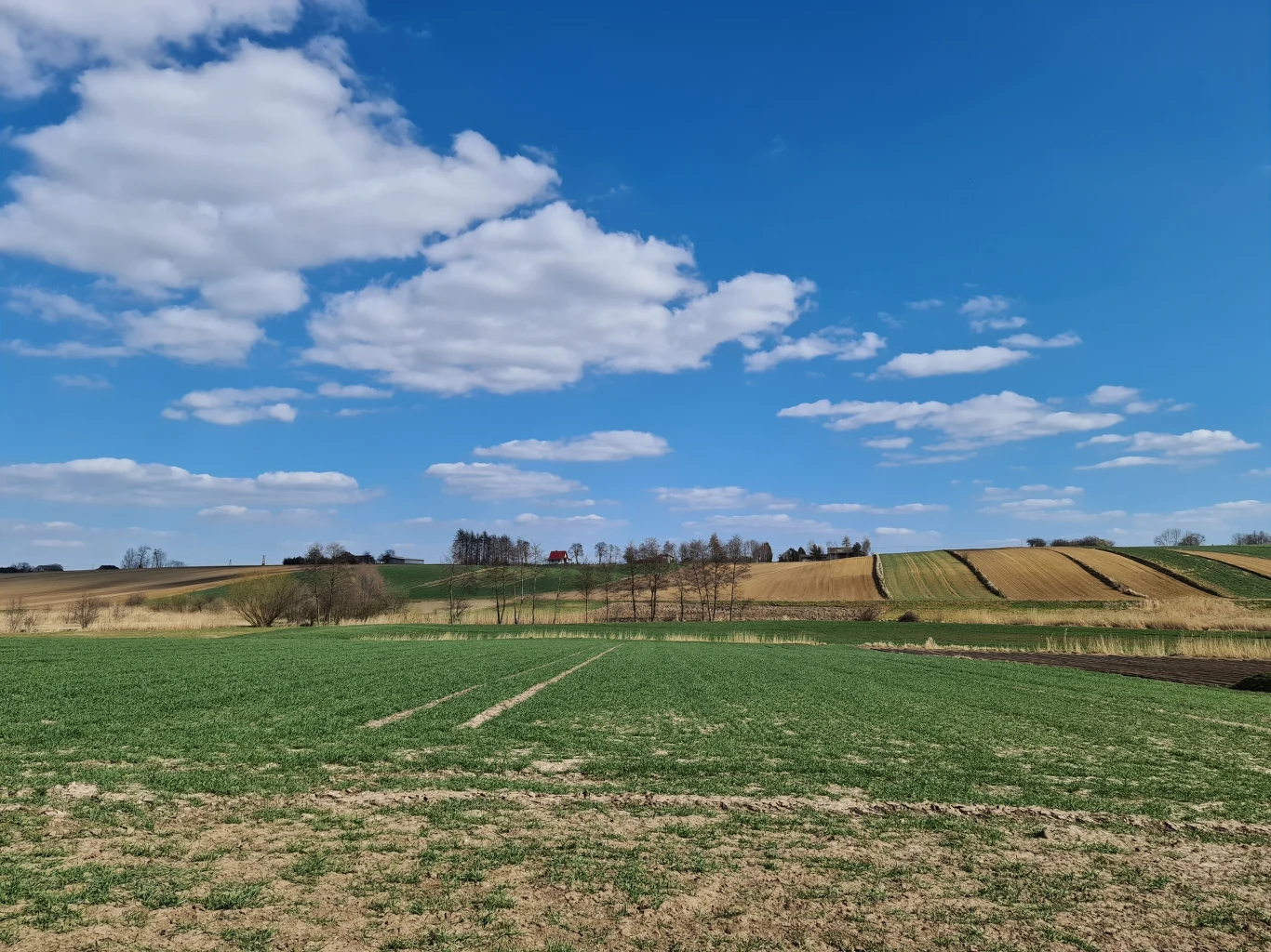 Zdjęcie wykonane Samsungiem Galaxy S20 Ultra Zdjęcie wykonane Samsungiem Galaxy S20 Ultra