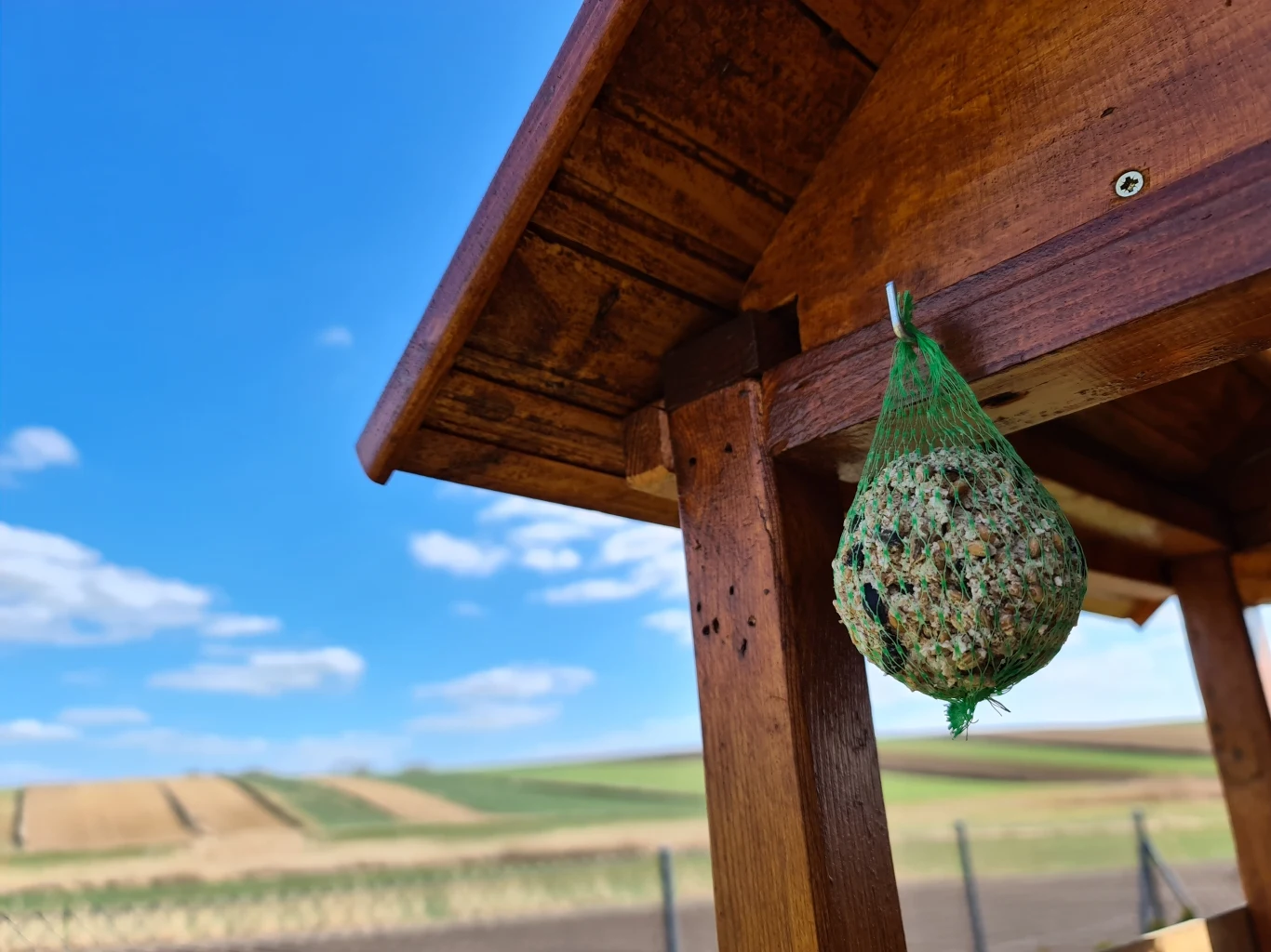 Zdjęcie wykonane Samsungiem Galaxy S20 Ultra Zdjęcie wykonane Samsungiem Galaxy S20 Ultra