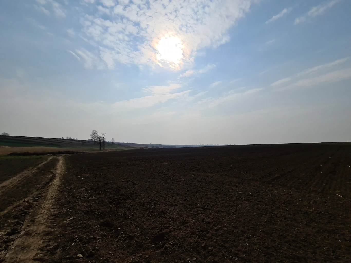 Zdjęcie wykonane Samsungiem Galaxy S20 Ultra Zdjęcie wykonane Samsungiem Galaxy S20 Ultra