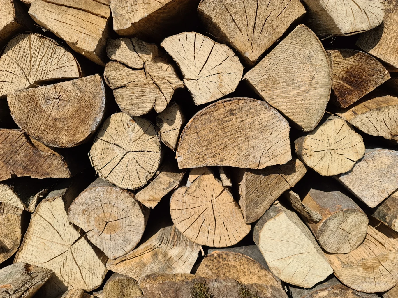 Zdjęcie wykonane Samsungiem Galaxy S20 Ultra Zdjęcie wykonane Samsungiem Galaxy S20 Ultra