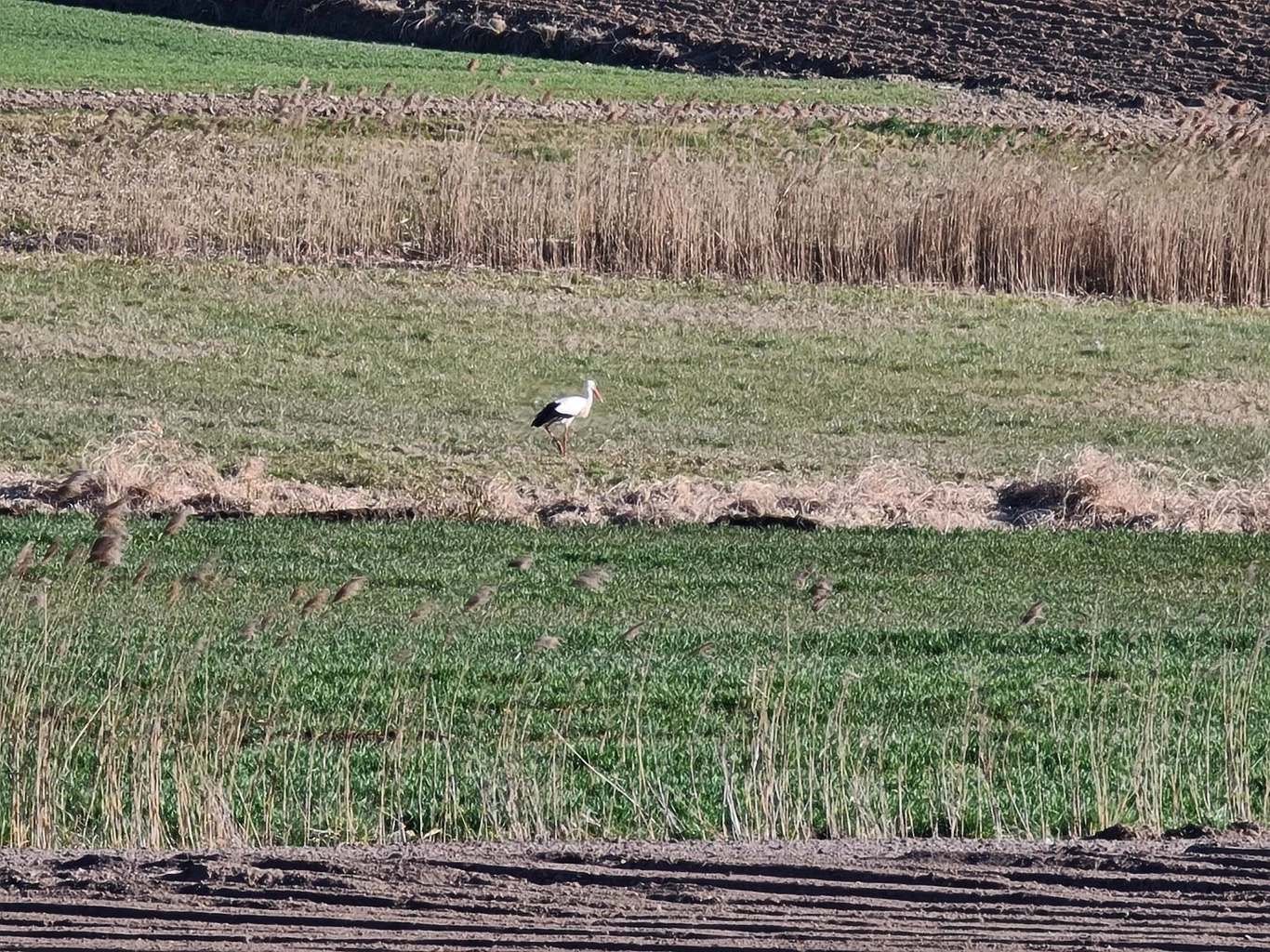 Zdjęcie wykonane Samsungiem Galaxy S20 Ultra Zdjęcie wykonane Samsungiem Galaxy S20 Ultra