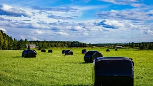 Ważne zmiany dla rolników będą w najbliższym czasie procedowane przez rząd