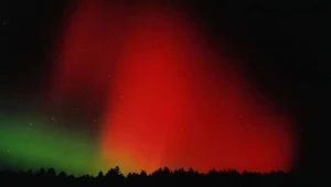 Zorze polarne nad Polską. Obserwuj niebo w najbliższych dniach  