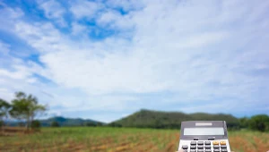 Najwięcej za działkę budowlaną trzeba zapłacić w okolicach największych polskich miast. 