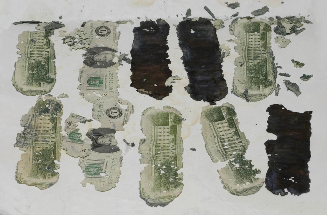Zniszczone banknoty znalezione przez ośmioletniego chłopca nad rzeką Columbia Zniszczone banknoty znalezione przez ośmioletniego chłopca nad rzeką Columbia