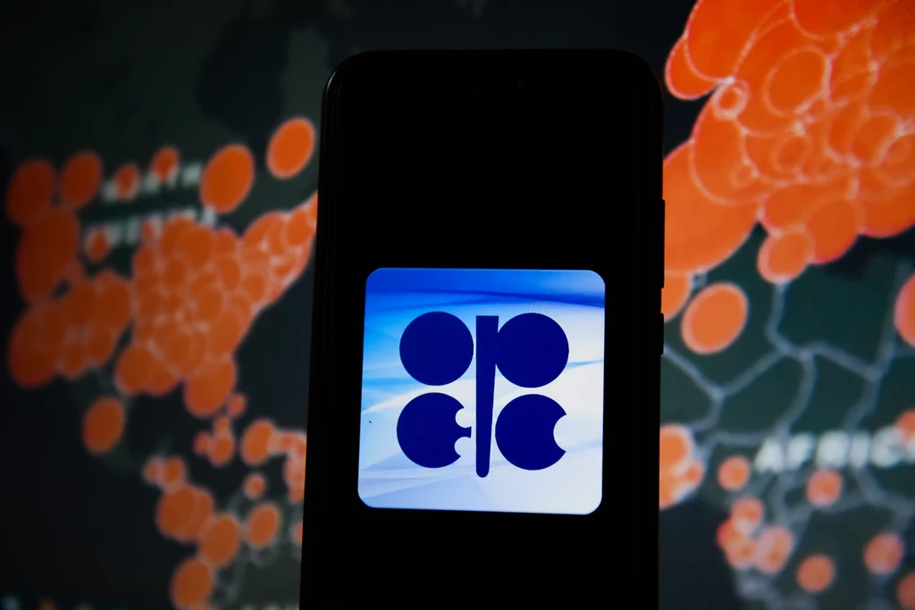 OPEC ograniczy wydobycie ropy naftowej