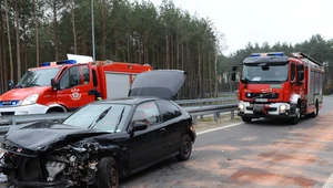 Mniej wypadków, więcej zabitych. Polskie drogi 2019