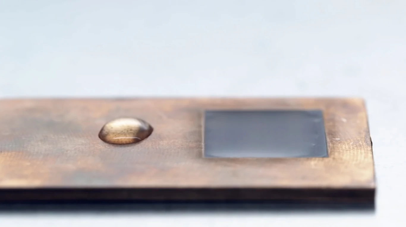 Fot: Purdue University Fot: Purdue University