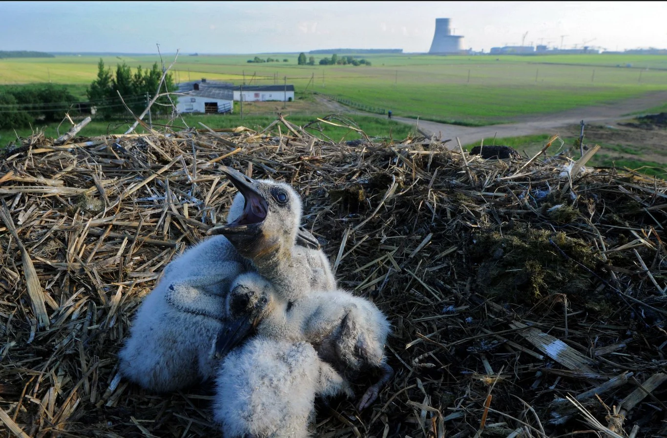 „Wszystkie systemy technologiczne i przyrządy bloku energetycznego, które objęto testami, odpowiadają charakterystykom projektowym” – podano w oświadczeniu. Gorące testy reaktora (poprzedziły je tzw. testy zimne) są kluczową fazą jego rozruchu i stanowią ostatni etap przed jego fizycznym uruchomieniem „Wszystkie systemy technologiczne i przyrządy bloku energetycznego, które objęto testami, odpowiadają charakterystykom projektowym” – podano w oświadczeniu. Gorące testy reaktora (poprzedziły je tzw. testy zimne) są kluczową fazą jego rozruchu i stanowią ostatni etap przed jego fizycznym uruchomieniem