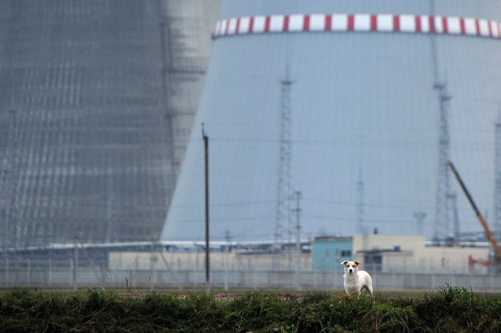 Białoruska elektrownia jądrowa powstaje w obwodzie grodzieńskim, ok. 20 km od miejscowości Ostrowiec, według rosyjskiego projektu AES-2006. W elektrowni będą dwa bloki energetyczne, z których każdy posiada reaktor o mocy do 1200 megawatów. Siłownię buduje rosyjski Rosatom i jest ona finansowana w większości z kredytu udzielonego Mińskowi przez Moskwę. Według planów elektrownia ma produkować 18 mld kilowatogodzin energii elektrycznej rocznie