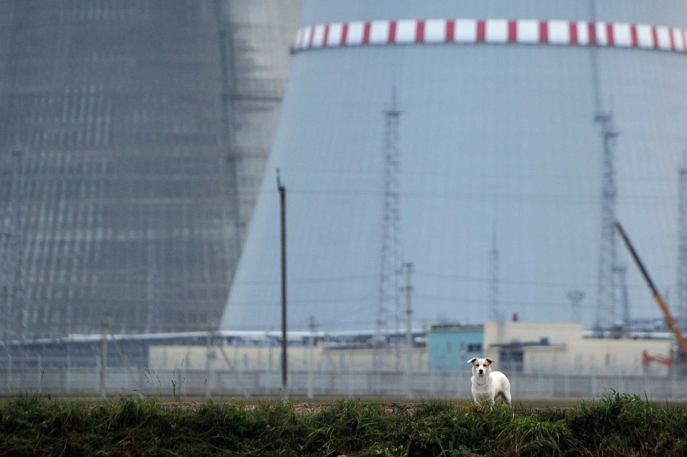 Białoruska elektrownia jądrowa powstaje w obwodzie grodzieńskim, ok. 20 km od miejscowości Ostrowiec, według rosyjskiego projektu AES-2006. W elektrowni będą dwa bloki energetyczne, z których każdy posiada reaktor o mocy do 1200 megawatów. Siłownię buduje rosyjski Rosatom i jest ona finansowana w większości z kredytu udzielonego Mińskowi przez Moskwę. Według planów elektrownia ma produkować 18 mld kilowatogodzin energii elektrycznej rocznie Białoruska elektrownia jądrowa powstaje w obwodzie grodzieńskim, ok. 20 km od miejscowości Ostrowiec, według rosyjskiego projektu AES-2006. W elektrowni będą dwa bloki energetyczne, z których każdy posiada reaktor o mocy do 1200 megawatów. Siłownię buduje rosyjski Rosatom i jest ona finansowana w większości z kredytu udzielonego Mińskowi przez Moskwę. Według planów elektrownia ma produkować 18 mld kilowatogodzin energii elektrycznej rocznie