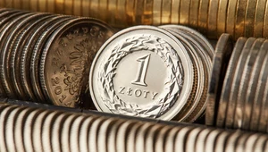 Złoty ma za sobą nieudany październik, a perspektywy dla polskiej waluty nie napawają optymizmem