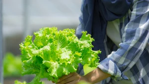 Zdjęcie ilustracyjne
