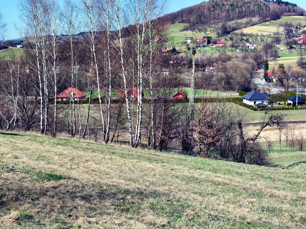 Zdjęcie wykonane Xiaomi Mi 10