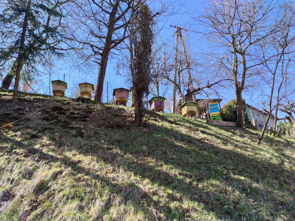 Zdjęcie wykonane Xiaomi Mi 10 - bez zooma