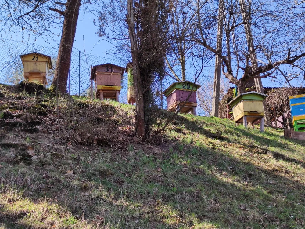 Zdjęcie wykonane Xiaomi Mi 10 - zoom x2