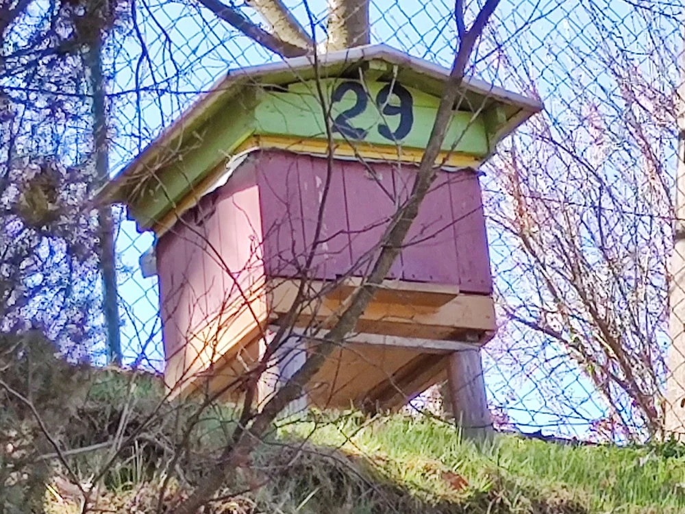 Zdjęcie wykonane Xiaomi Mi 10 - zoom x10