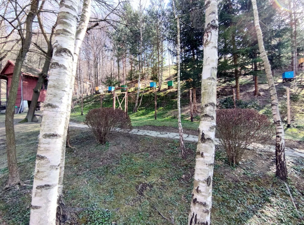 Zdjęcie wykonane Xiaomi Mi 10 - ultraszeroki kąt