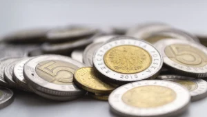 Ile kosztują dolar, euro i frank w poniedziałek 18 sierpnia 2025 roku? Zdj. ilustracyjne