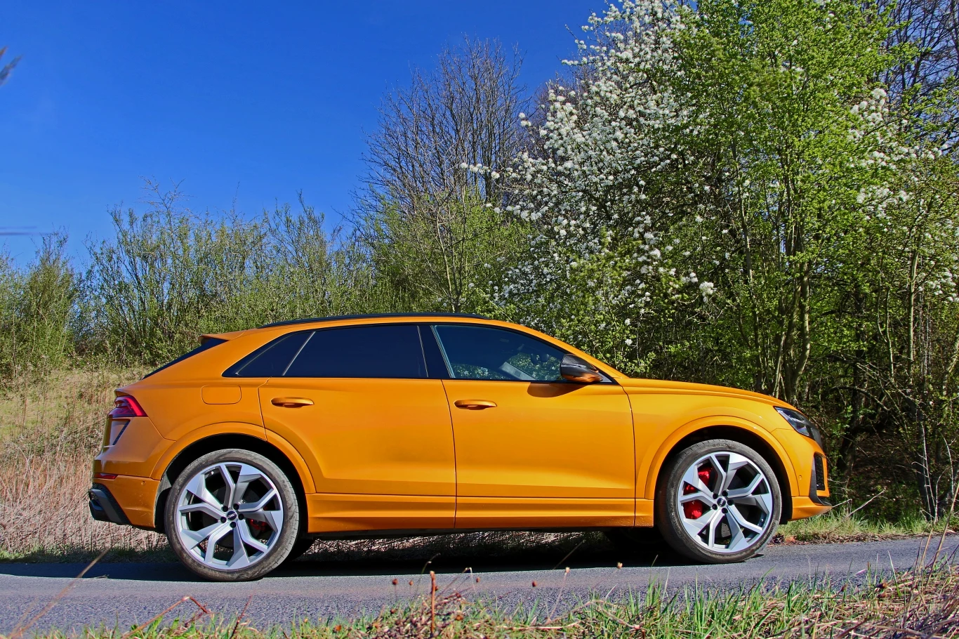 Audi RS Q8 Audi RS Q8