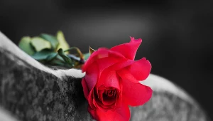 Fatalne wieści dla miłośników kultowych gier