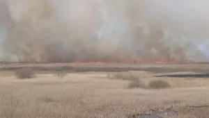 Pożar w Biebrzańskim Parku Narodowym