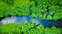 Bory Tucholskie 

Teren położony w dorzeczu Brdy i Wdy słynie z wyjątkowych krajobrazów. W Parku Narodowym Bory Tucholskie ochroną objęte są fragmenty pierwotnej puszczy, zamieszkiwane przez rzadkie gatunki zwierząt i porośnięte przez zagrożoną roślinność. W jego granicach znajduje się aż 21 (często zarybionych) jezior oraz liczne rezerwaty przyrody.

Pobyt urozmaicić warto wizytą w Kaszubskim Parku Etnograficznym we Wdzydzach Kiszewskich – najstarszym polskim skansenie. Miłośnicy aktywnego wypoczynku mogą skorzystać z licznych ścieżek pieszych, rowerowych oraz, co ciekawe, cieszących się coraz większą popularnością spływów tratwą. 

Bory zamieszkują m.in. borsuki, wydry, a zimą na tym terenie pojawiają się także wilki. 