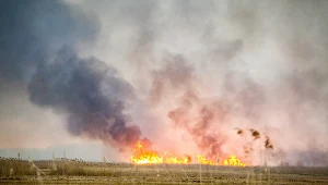 Pożar w największym parku narodowym w Polsce