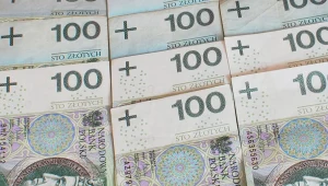 Co dalej z polskim złotym? W tym tygodniu wiele wydarzeń może wpłynąć na jego notowania 