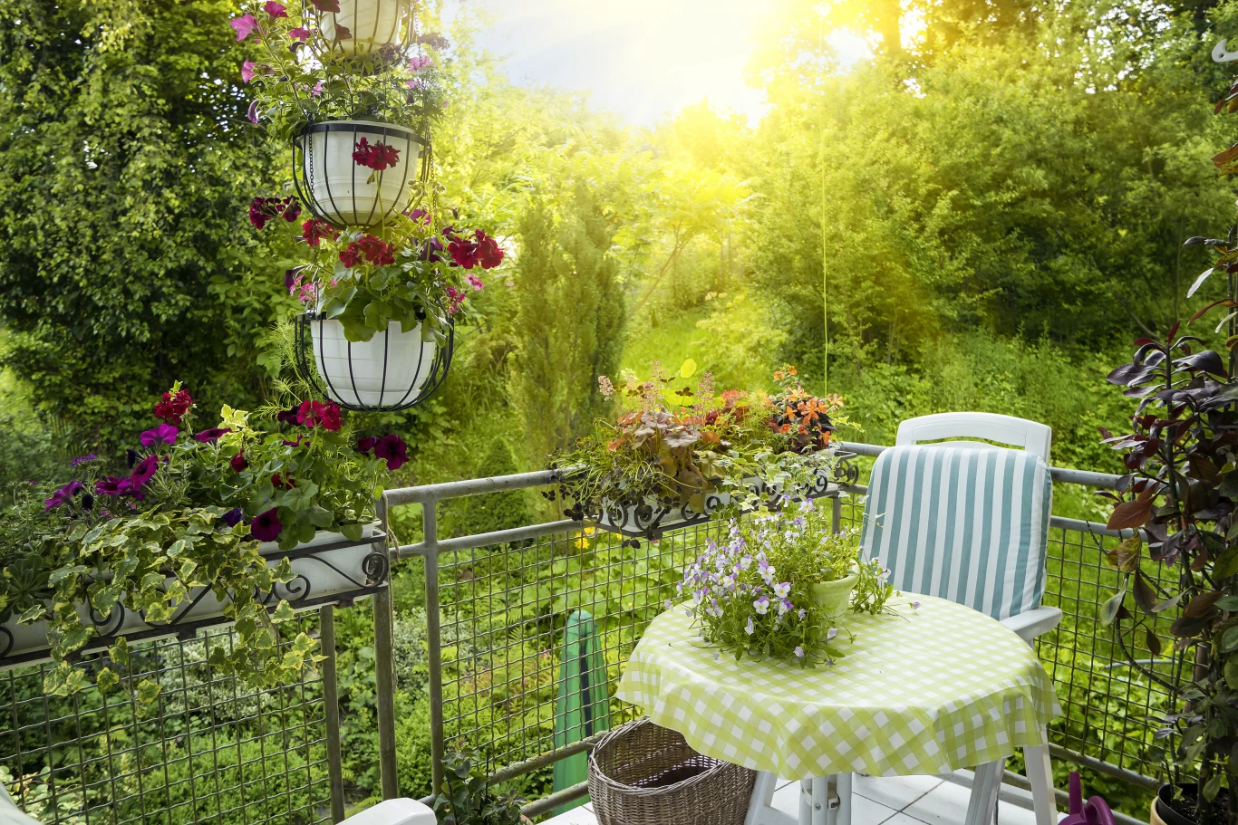 Jakie kwiaty na balkon wybrać? Jakie kwiaty na balkon wybrać?