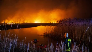 Skala pożaru w największym parku w Polsce