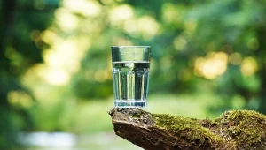 Minister rolnictwa  Ardanowski apeluje nie marnujmy wody 