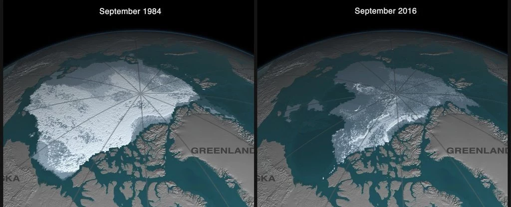 Różnica w zasięgu pokrywy lodowej w 1984 i w 2016 r. /Fot. Dirk Notz