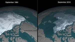 Arktyka wolna od lodu morskiego latem już przed 2050 rokiem