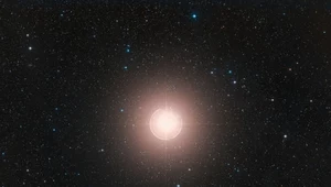 Betelgeza nie jest samotna? Gwiazda może mieć tajemniczego towarzysza