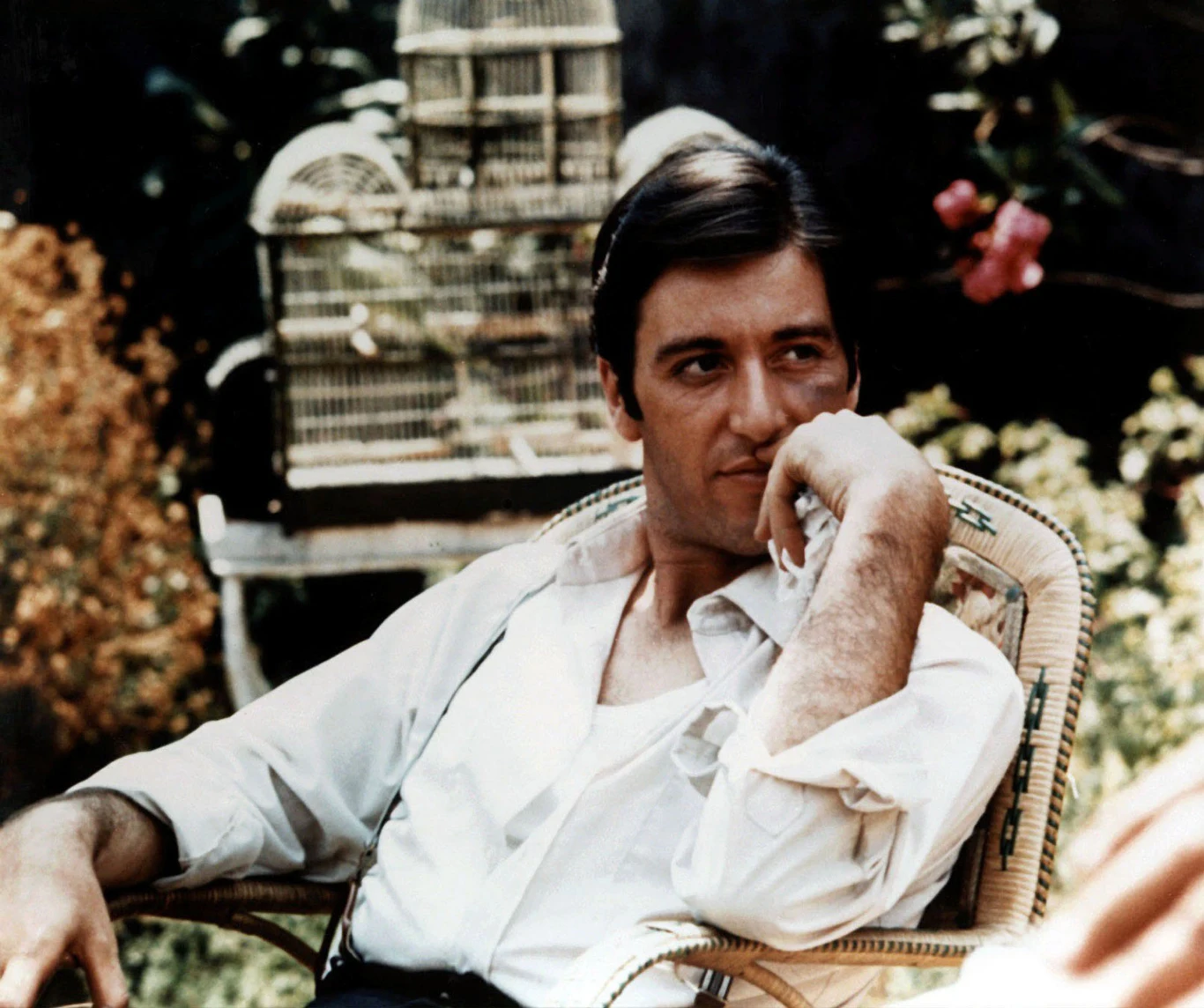 Za występ w "Ojcu chrzestnym II" Pacino był już nominowany za rolę pierwszoplanową. Dwa lata po występie u boku Marlona Brando w pierwszej części mafijnej sagi Mario Puzo, gwiazdor wrócił na ekran jako centralna postać sequela. To właśnie na jego twarzy mogliśmy obserwować efekty pracy "mistrza ciemności", operatora Gordona Willisa. Ale tak jak w przypadku pierwszej części filmu Oscara zdobył partnerujący Pacino Marlon Brando, tak tym razem statuetka (za najlepszą rolę drugoplanową) powędrowała do innego kolegi z planu, wcielającego się w młodego Vito Corleone Roberta De Niro.