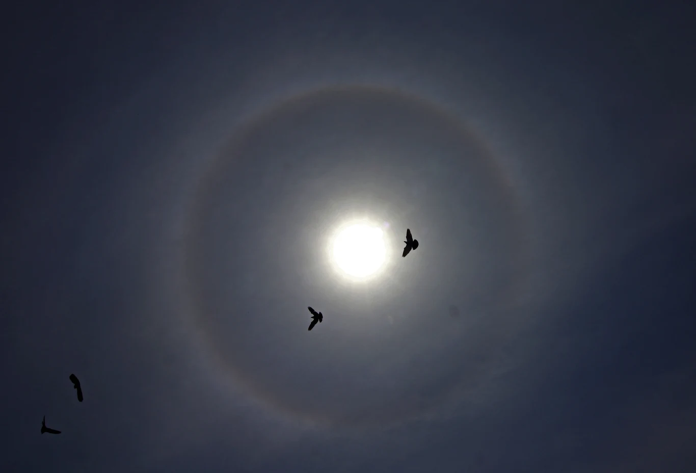 Zjawisko to jest równie piękne, co niebezpieczne – patrzenie na poświatę gołym okiem może trwale uszkodzić wzrok.