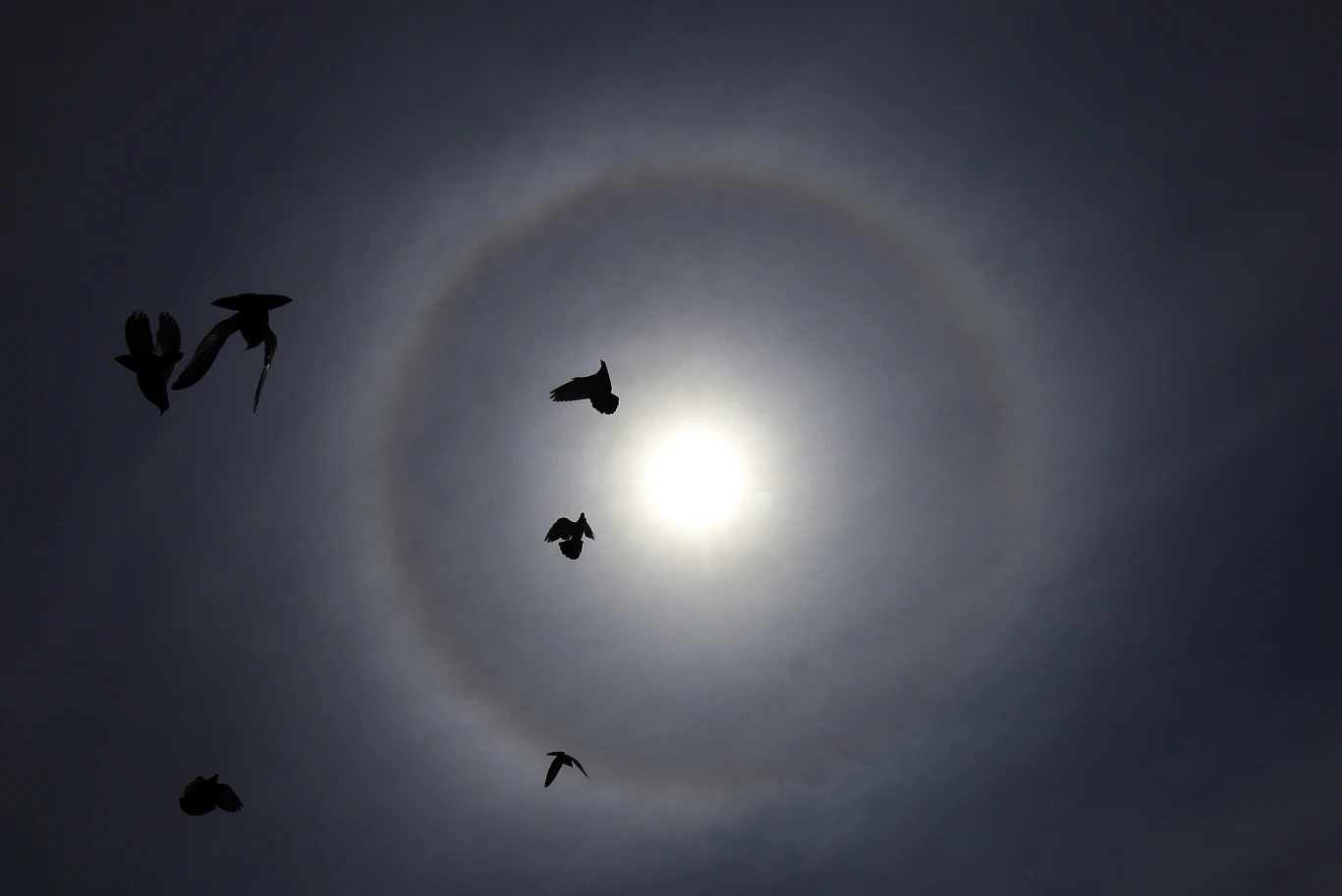 Srinagar (albo Śrinagar) to z kolei spore, ponadmilionowe miasto, będące do niedawna letnią stolicą stanu Dżammu i Kaszmir w Indiach.