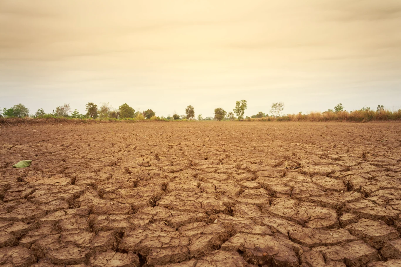 Sycylii grozi pustynnienie.