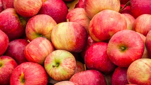 Jabłka podrożały o 74 proc.
